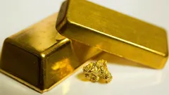 Muž kopal na dvore bazén a našiel zlato: Ako poklad za 800 000 dolárov roky čakal ukrytý pod zemou